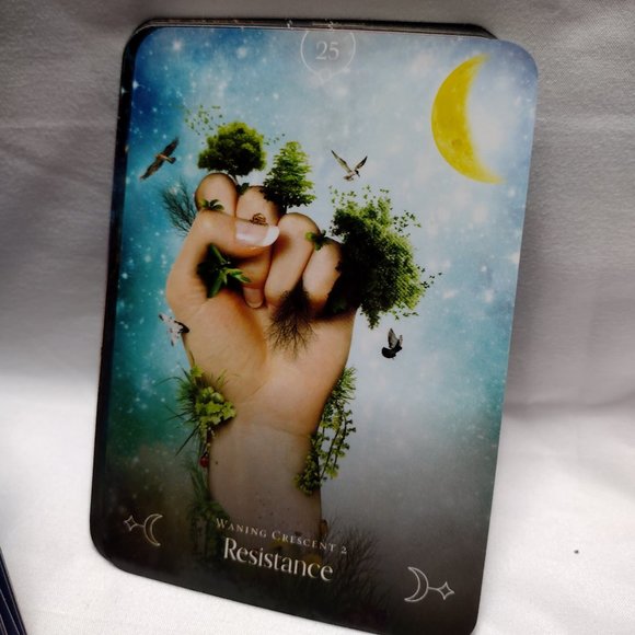 Queen of the Moon Oracle: Guidance through Lunar and Seasonal Energies - Picture 5 of 8